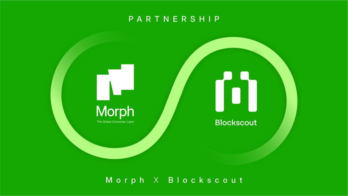 Morph block explorer