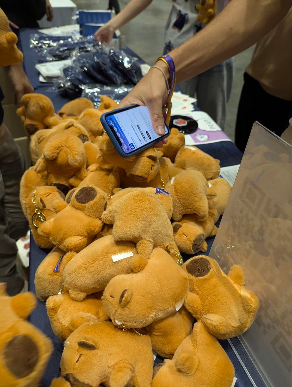 Blockscout Capybara plushies